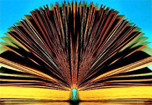 Exposition "Comment sont faits les livres" au Cdi