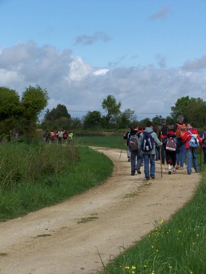100_6138.jpg