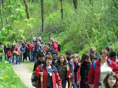 100_6149.jpg