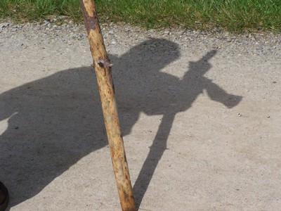 100_6156.jpg