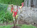 100_6176.jpg
