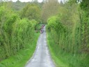 100_6225.jpg
