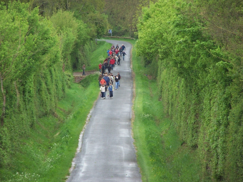 100_6226.jpg