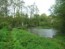 28 avril 2008 - Jazeneuil 031.jpg