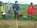 28 avril 2008 - Jazeneuil 046.jpg