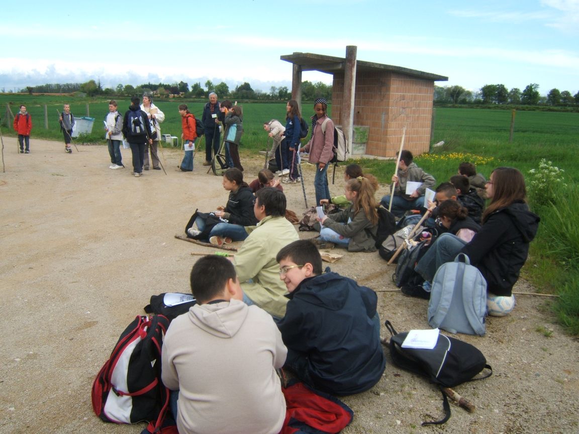 28 avril 2008 - Jazeneuil 056.jpg