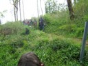 28 avril 2008 - Jazeneuil 082.jpg