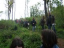 28 avril 2008 - Jazeneuil 083.jpg