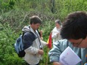28 avril 2008 - Jazeneuil 094.jpg