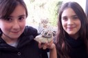 Les "amoureux de rafia" d'après Aliénor et Bérénice