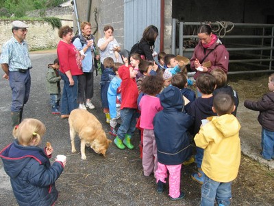 5 mai PS MS Sortie a la Ferme (1).JPG