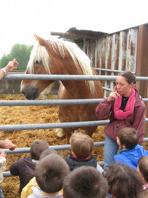 5 mai PS MS Sortie a la Ferme (19).JPG