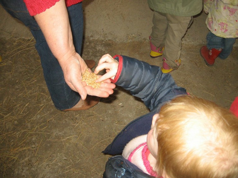 5 mai PS MS Sortie a la Ferme (24).JPG