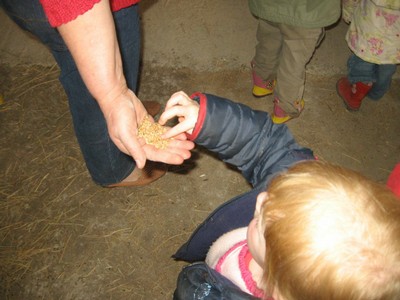 5 mai PS MS Sortie a la Ferme (24).JPG
