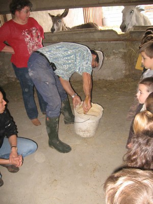 5 mai PS MS Sortie a la Ferme (28).JPG
