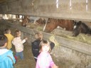 5 mai PS MS Sortie a la Ferme (31).JPG