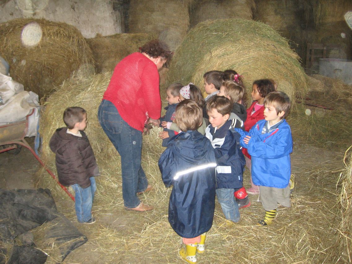 5 mai PS MS Sortie a la Ferme (34).JPG