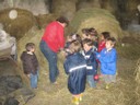 5 mai PS MS Sortie a la Ferme (34).JPG