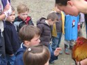 5 mai PS MS Sortie a la Ferme (46).JPG