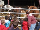 5 mai PS MS Sortie a la Ferme (5).JPG