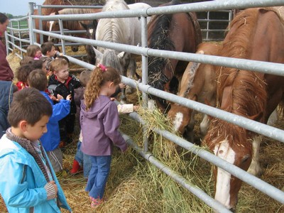 5 mai PS MS Sortie a la Ferme (6).JPG