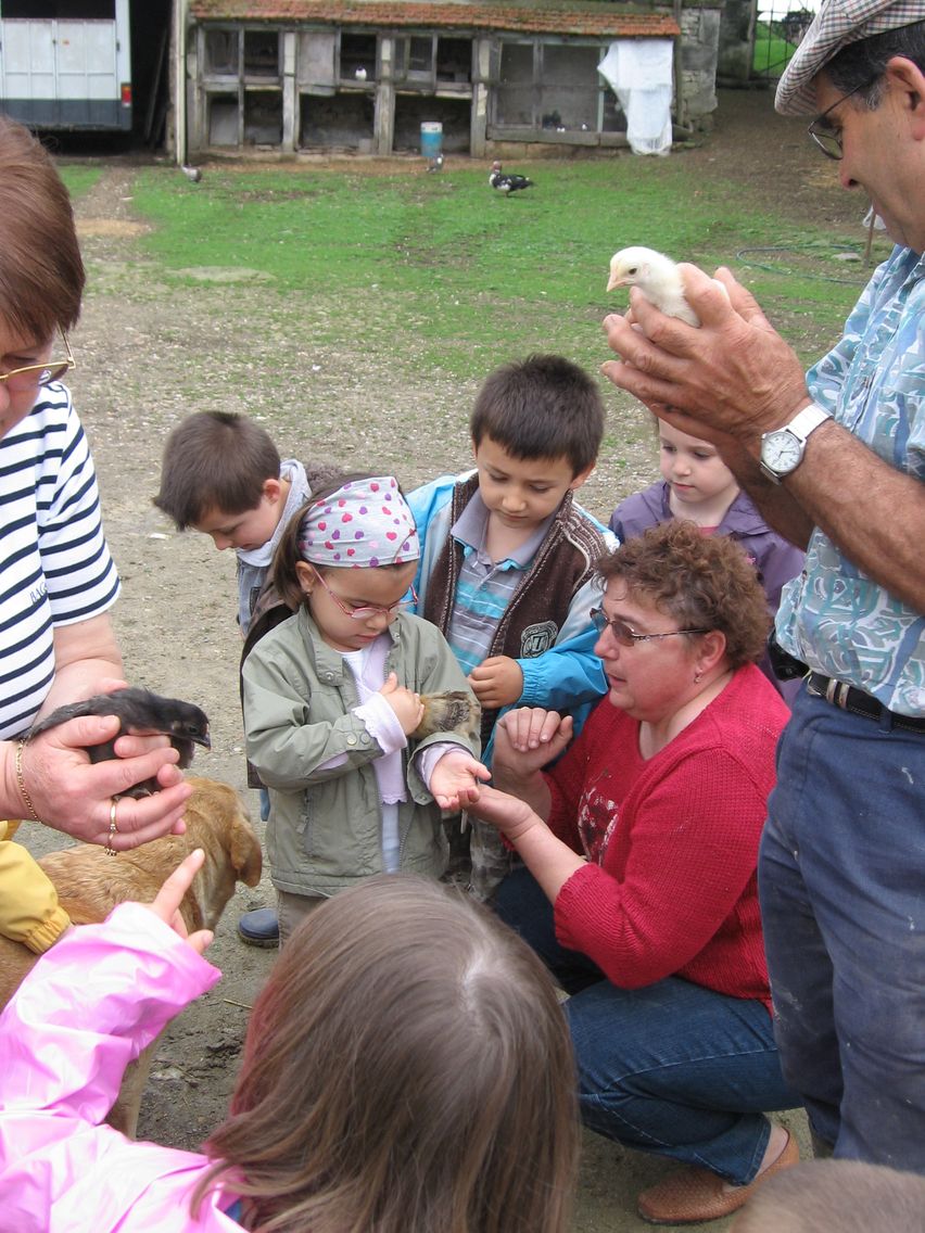 5 mai PS MS Sortie a la Ferme (61).JPG