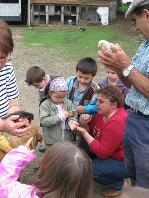 5 mai PS MS Sortie a la Ferme (61).JPG