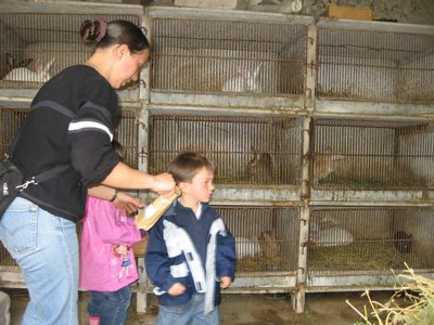 5 mai PS MS Sortie a la Ferme (76).JPG