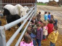 5 mai PS MS Sortie a la Ferme (8).JPG