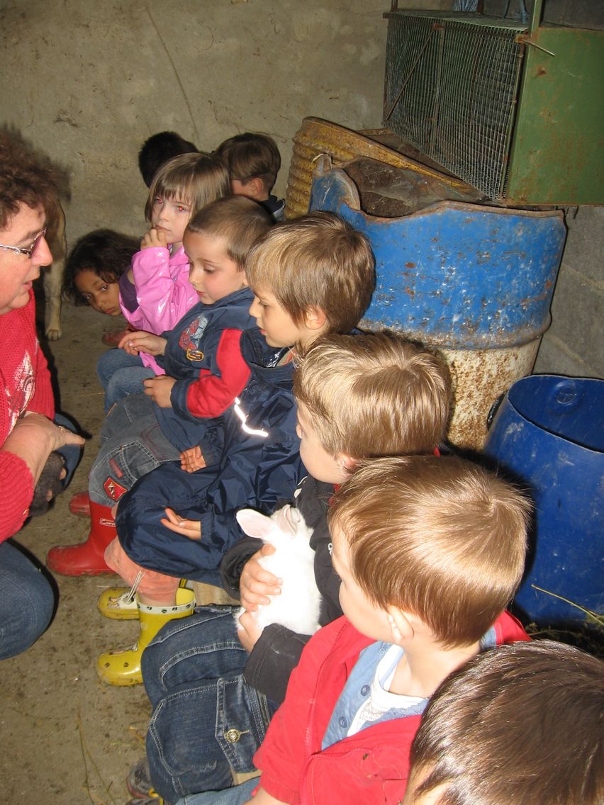 5 mai PS MS Sortie a la Ferme (82).JPG