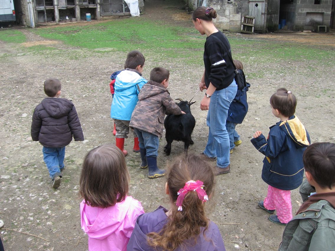 5 mai PS MS Sortie a la Ferme (88).JPG