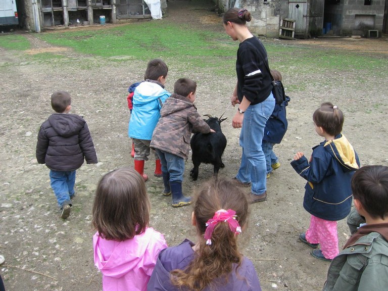 5 mai PS MS Sortie a la Ferme (88).JPG