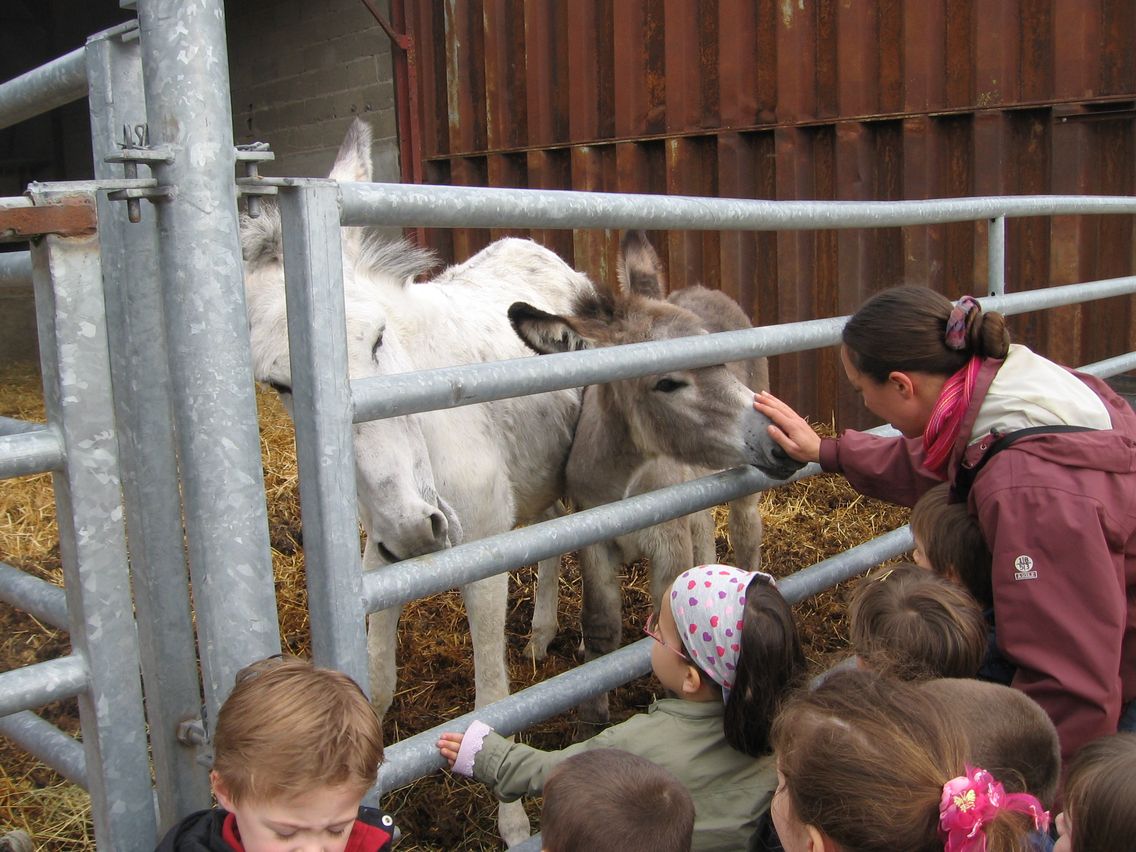 5 mai PS MS Sortie a la Ferme (9).JPG