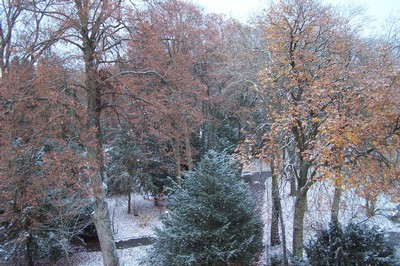 100_5748.JPG