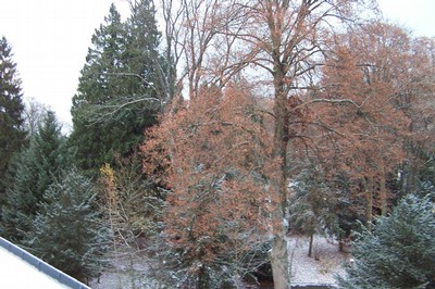 100_5750.JPG