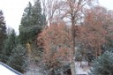 100_5750.JPG