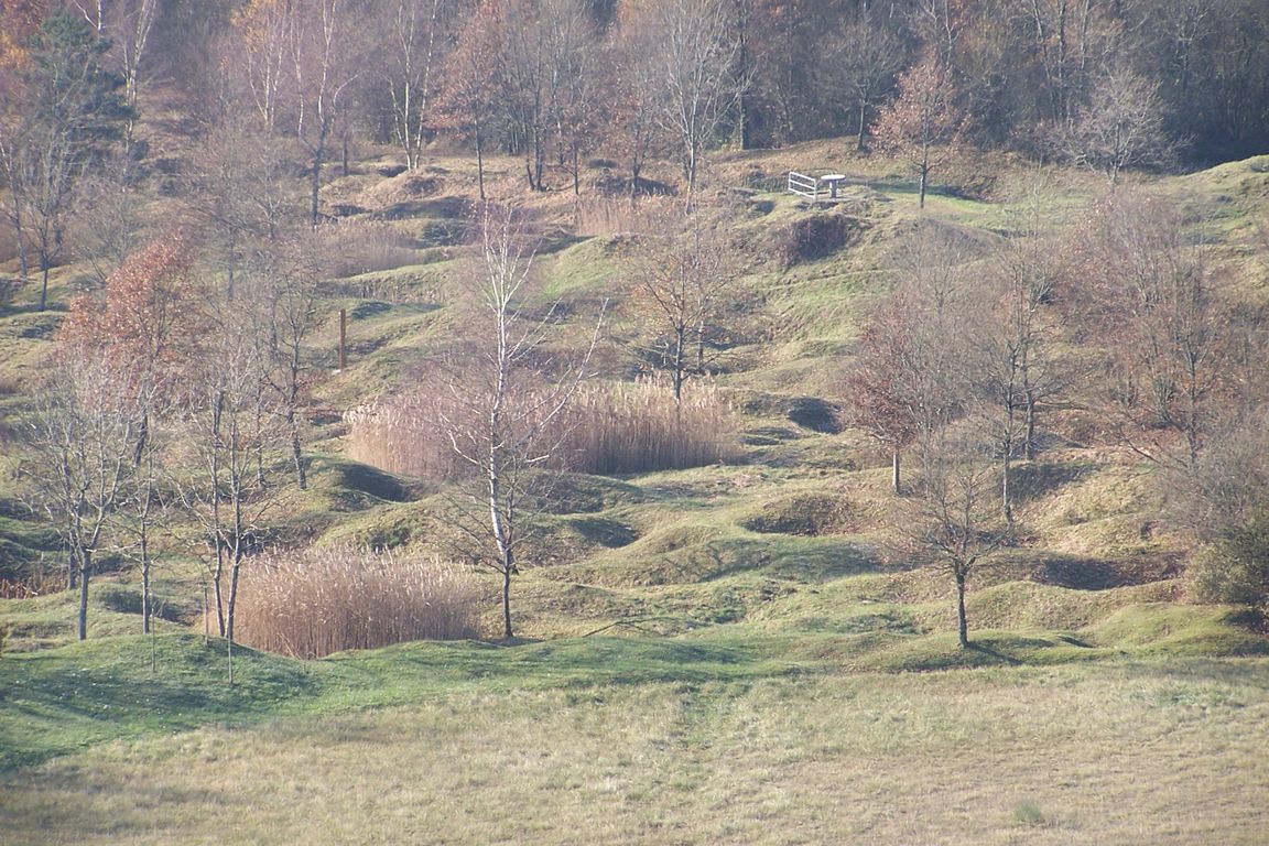 100_5771.JPG