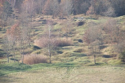 100_5771.JPG