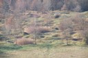 100_5771.JPG