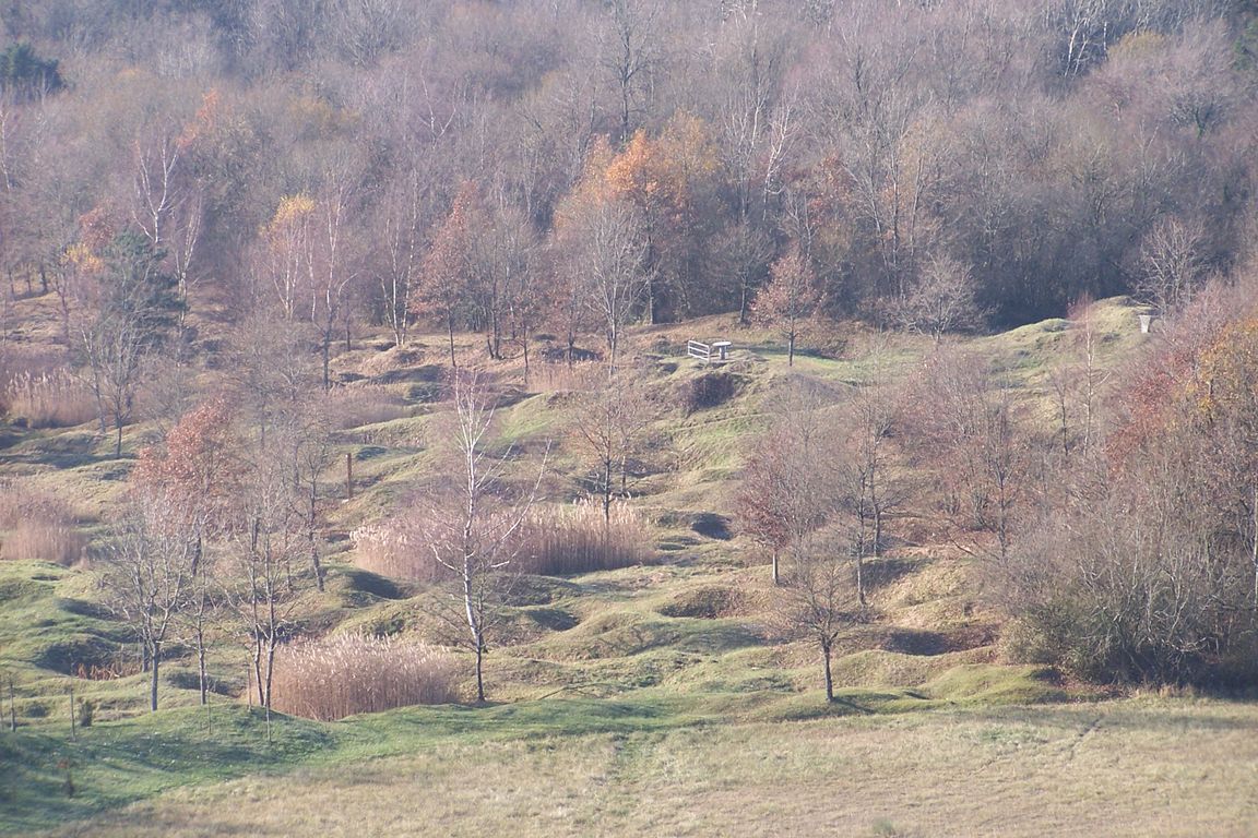 100_5772.JPG