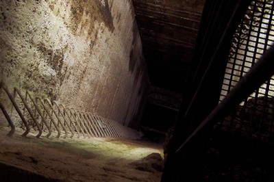 100_5782.JPG
