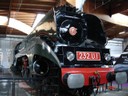 DSC04649.JPG