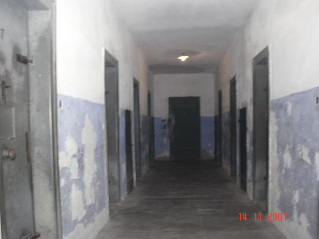 DSC04708.JPG