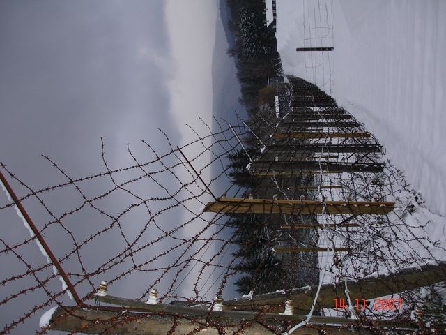 DSC04709.JPG
