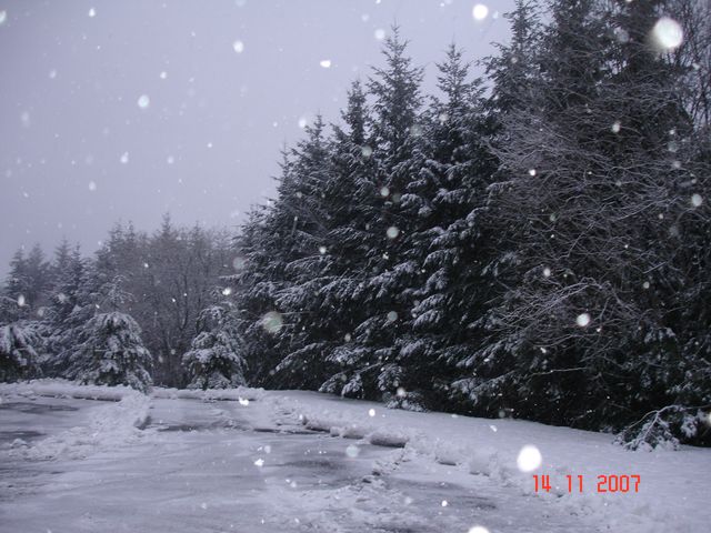 DSC04712.JPG