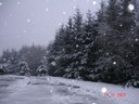 DSC04712.JPG