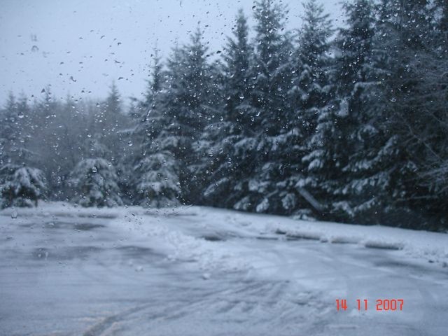 DSC04714.JPG