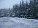 DSC04714.JPG