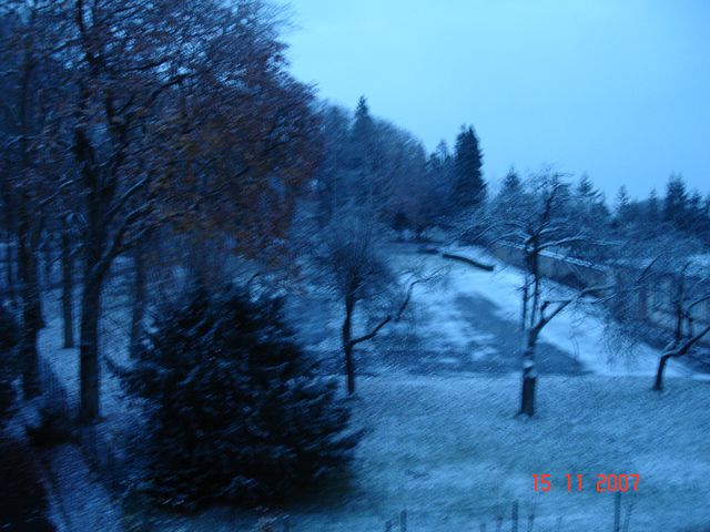 DSC04715.JPG