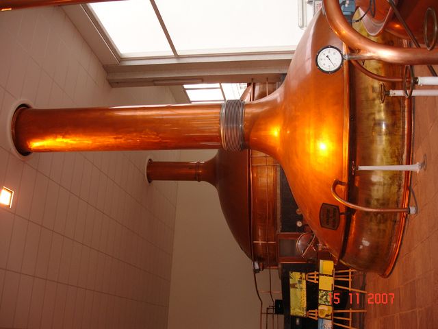 DSC04746.JPG
